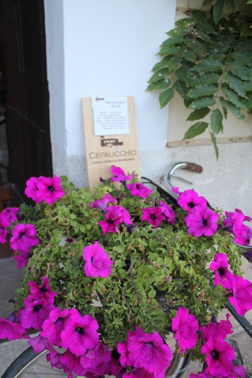 Cefalicchio B&B Canosa di Puglia
