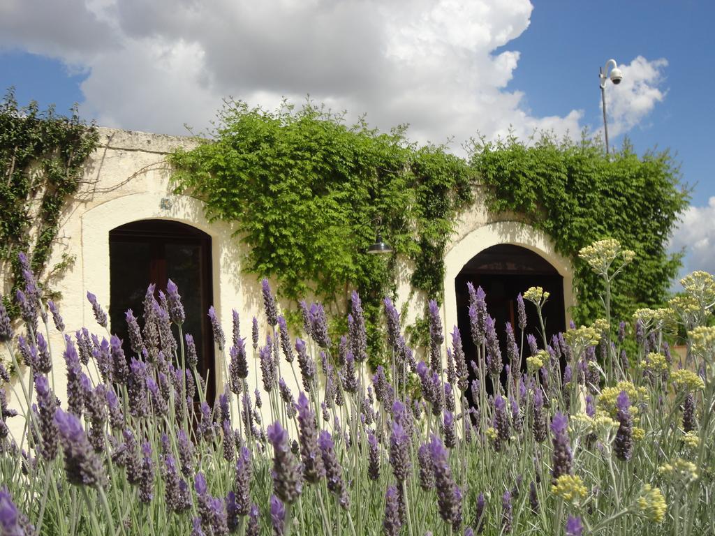 Bed & Breakfast Cefalicchio