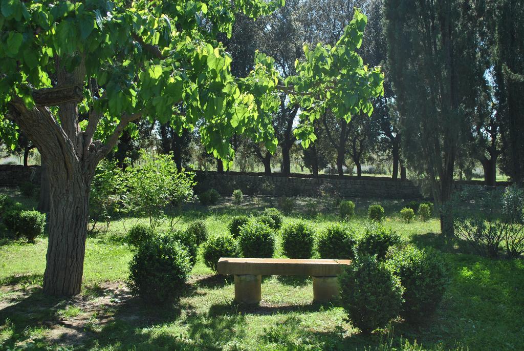 Bed & Breakfast Cefalicchio B&B Canosa di Puglia